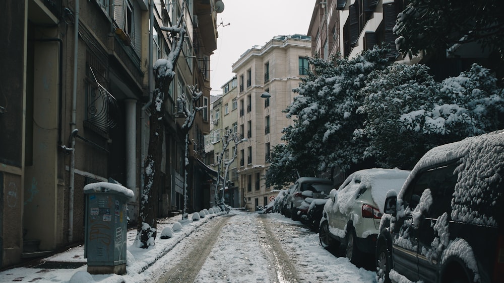 a snowy street with cars parked on the side