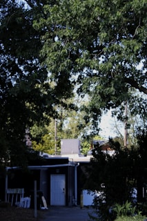 Cozy suburban flat surrounded by green trees and a small garden