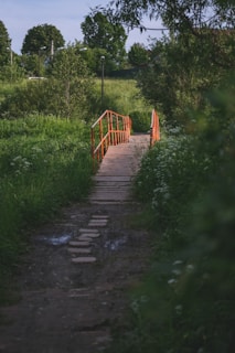 A narrow wooden bridge with bright orange railings crosses over lush green surroundings. The path leading to the bridge is made of stepping stones, slightly muddy and wet. Tall grass and leafy trees add to the verdant setting, creating a serene natural atmosphere.