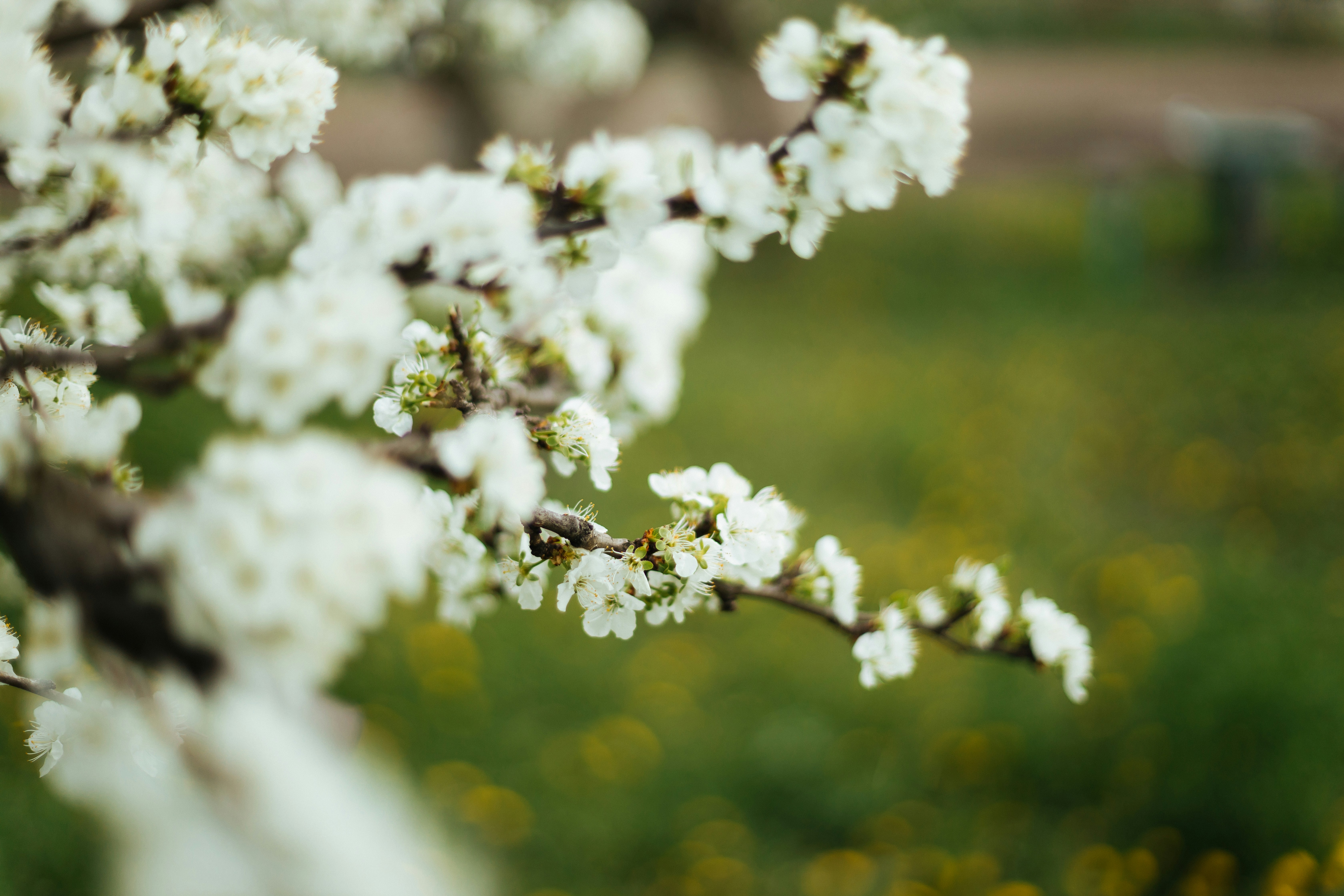 Photo by yulia_dubyna