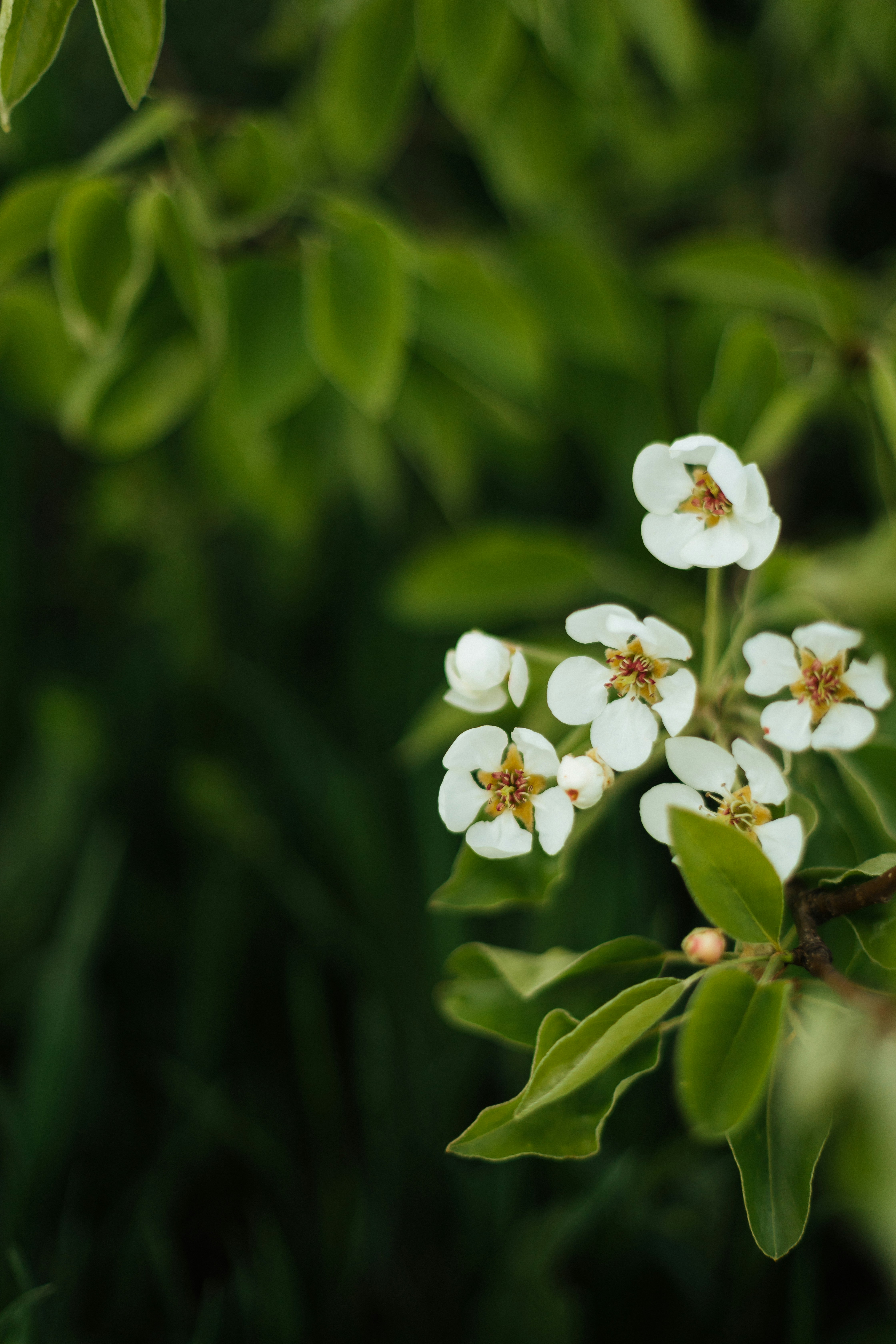 Photo by yulia_dubyna