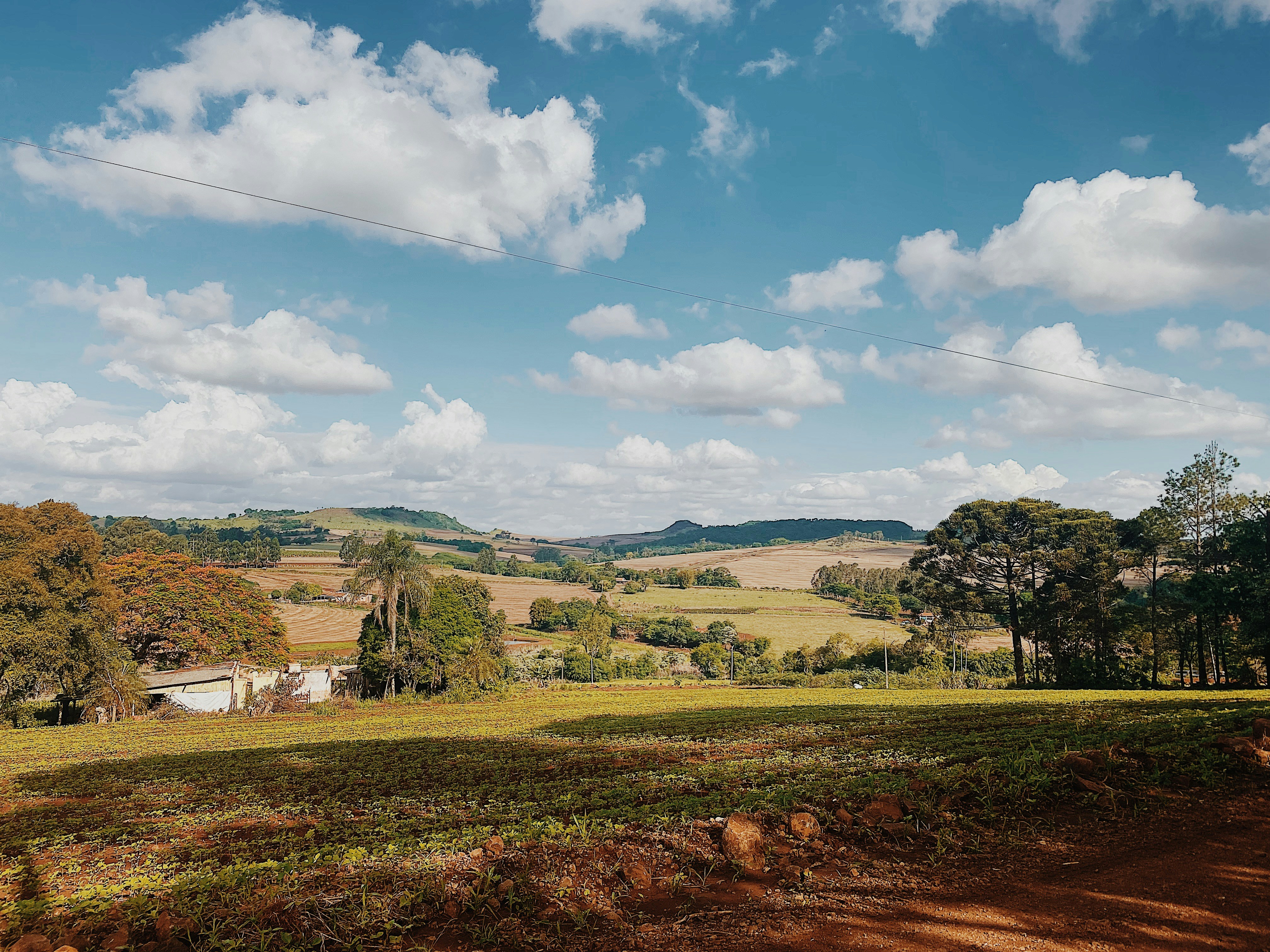 Photo by byalinefroess