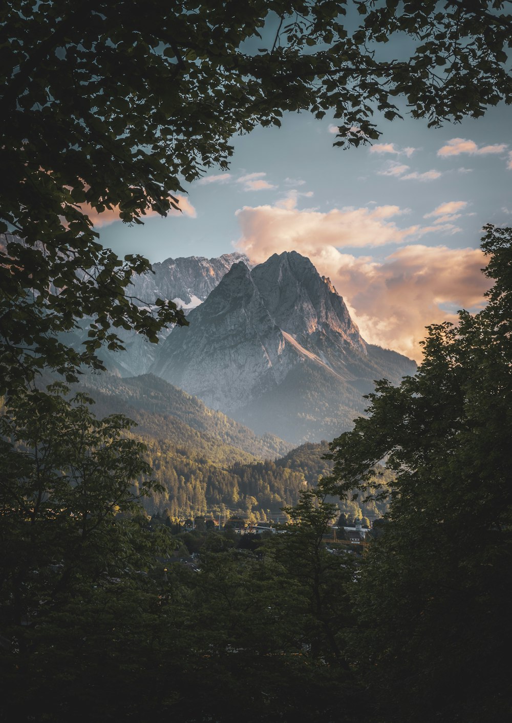 a view of a mountain range from a forest