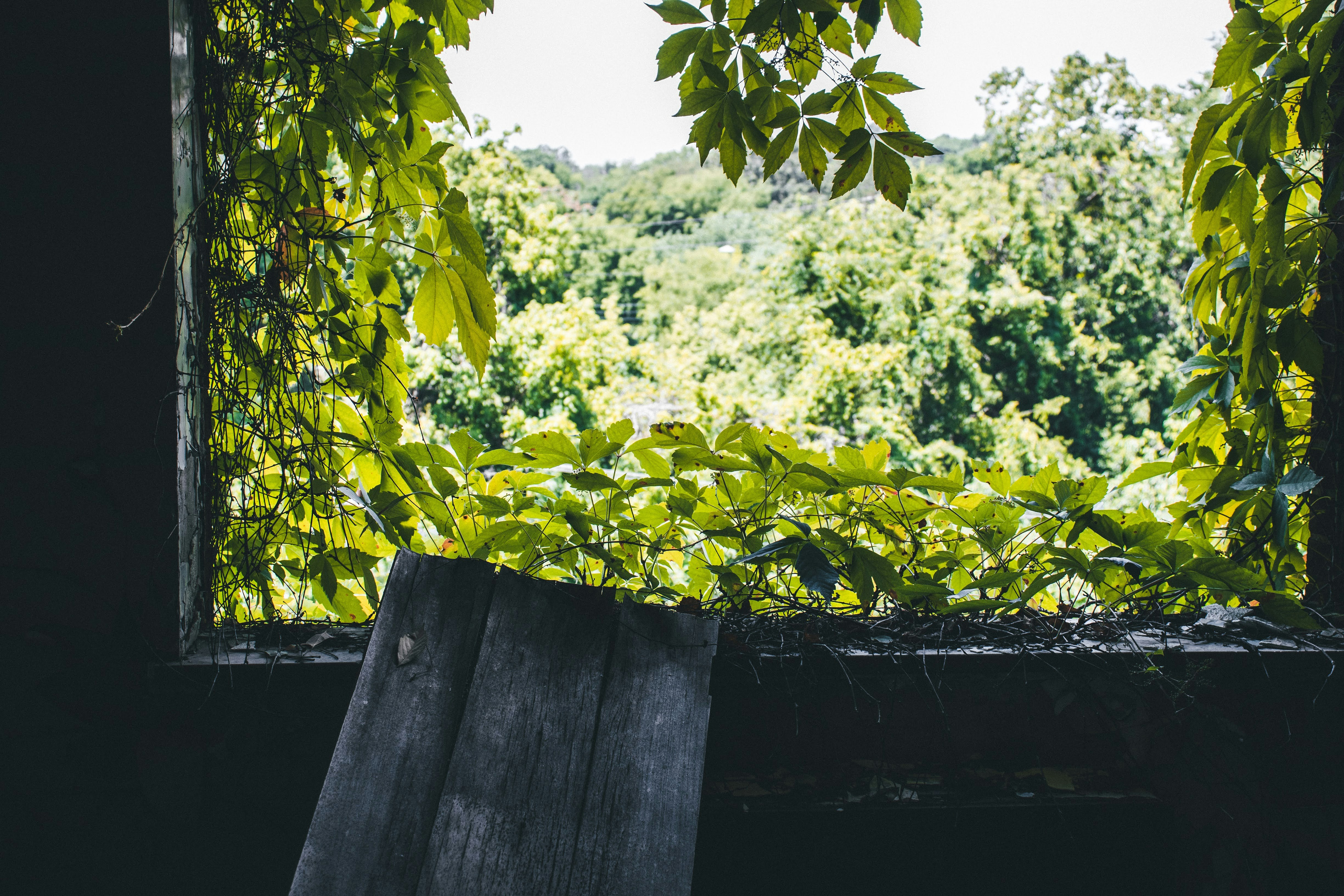 Photo by brice_cooper18