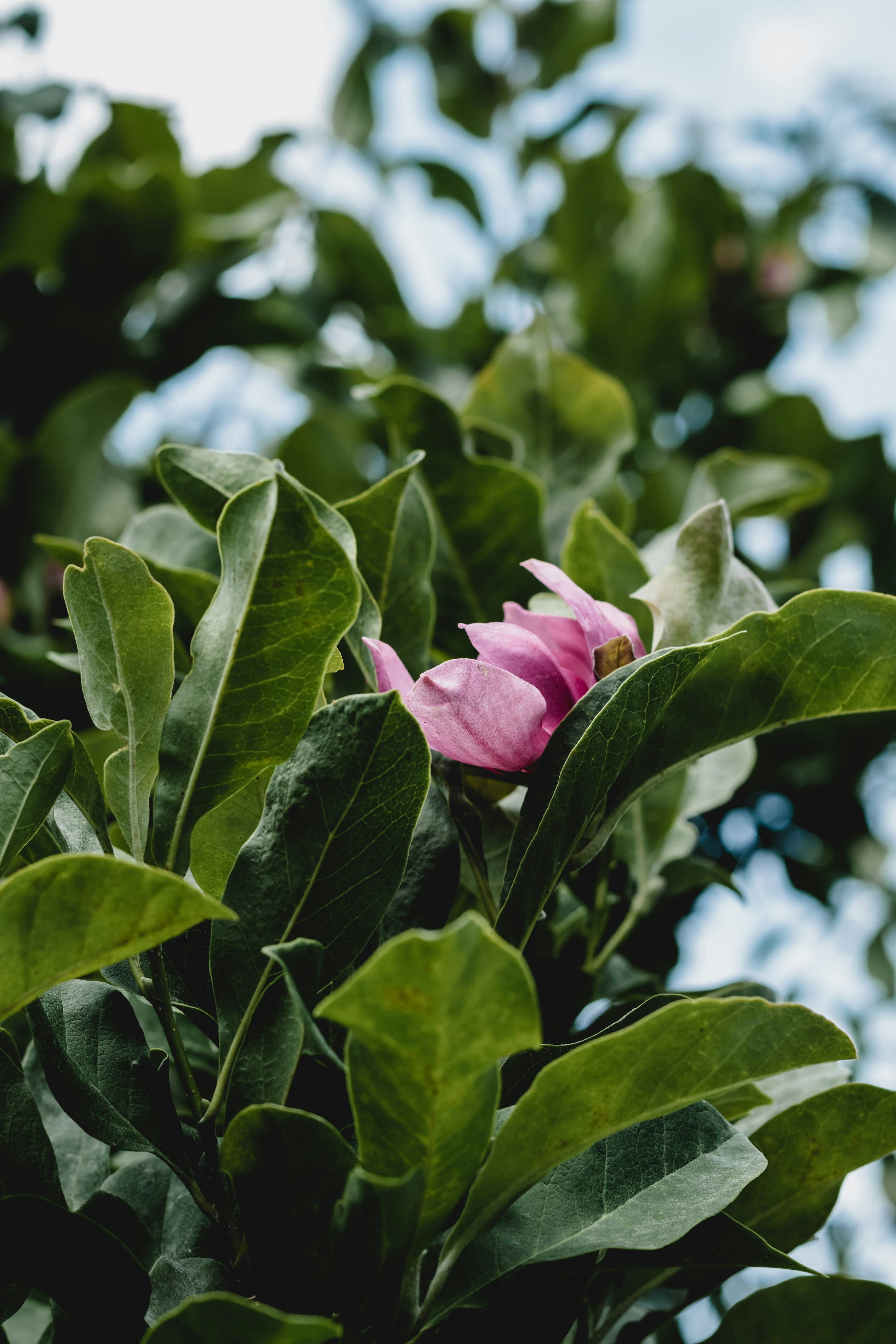 Photo by brice_cooper18