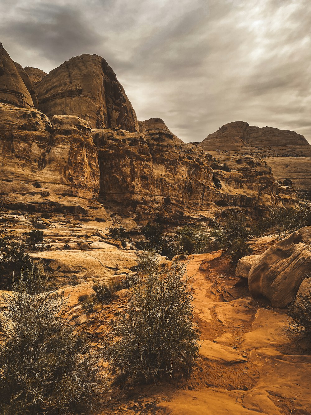 a rocky canyon with trees