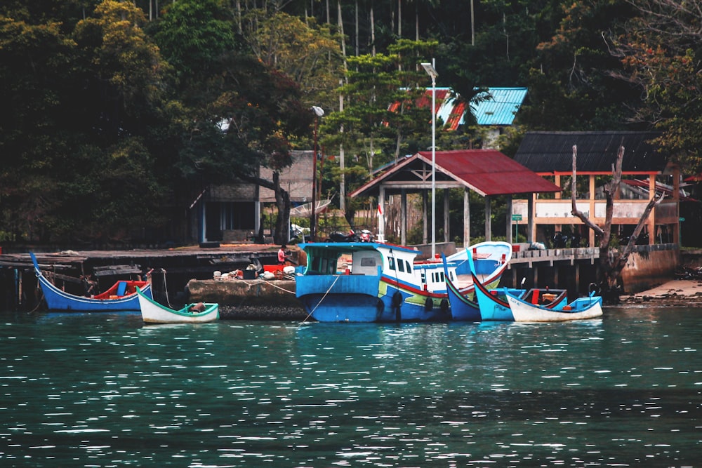 boats in the water