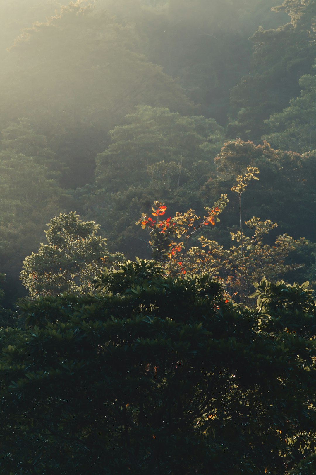 Natural landscape photo spot Lhok Mata Ie Ujong Pancu Aceh