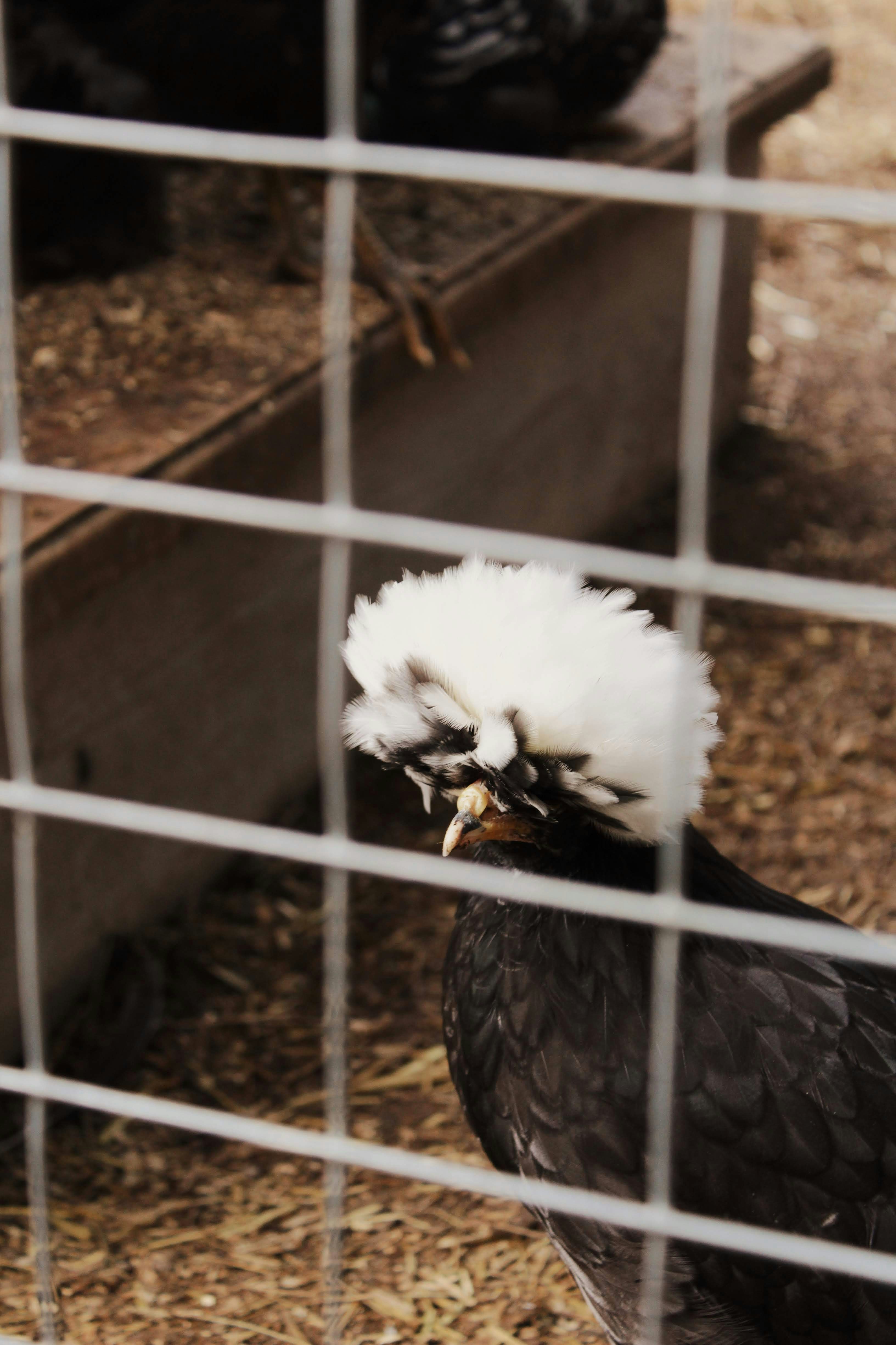 Photo by katherinestpierre