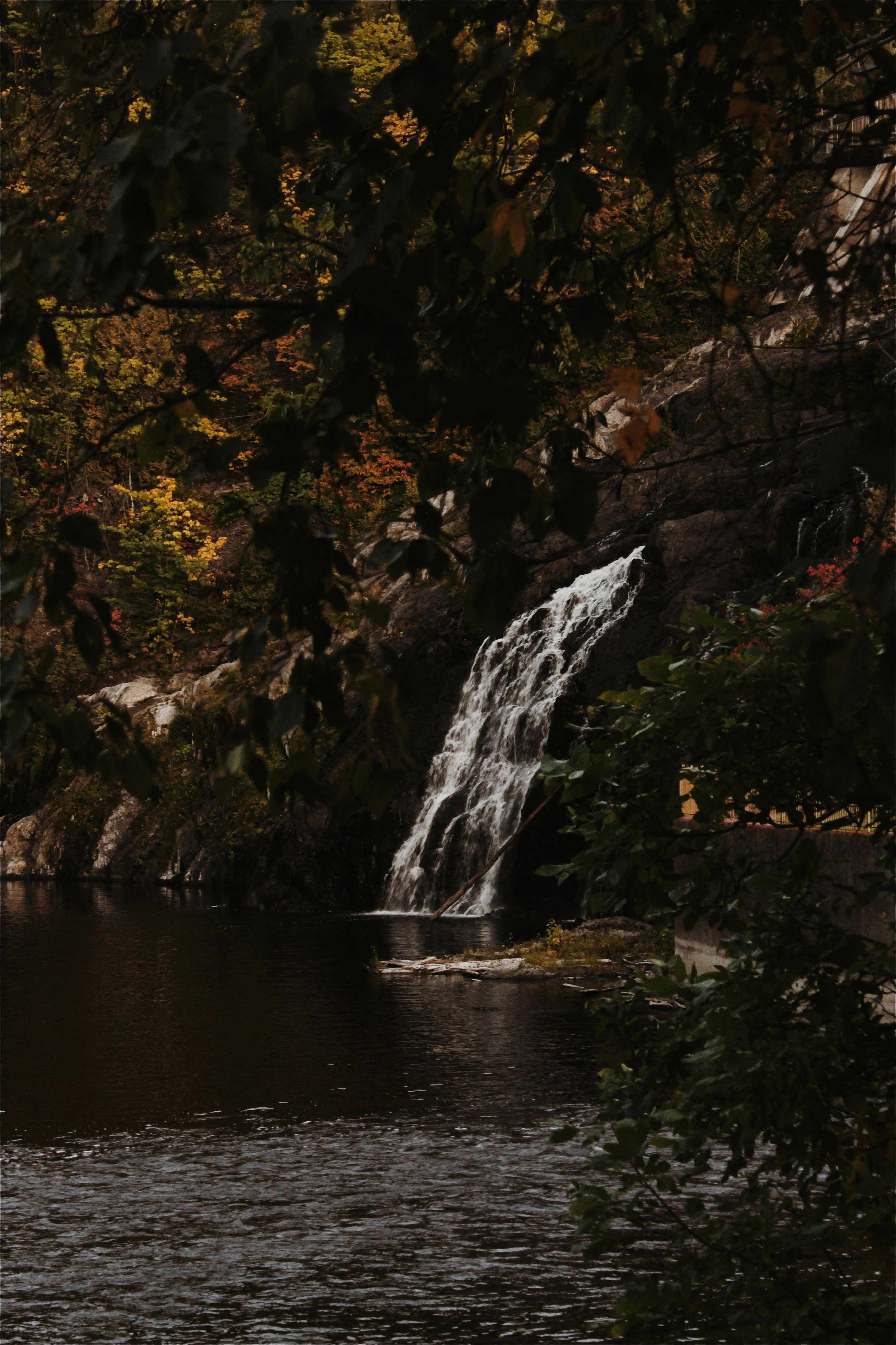 Photo by katherinestpierre