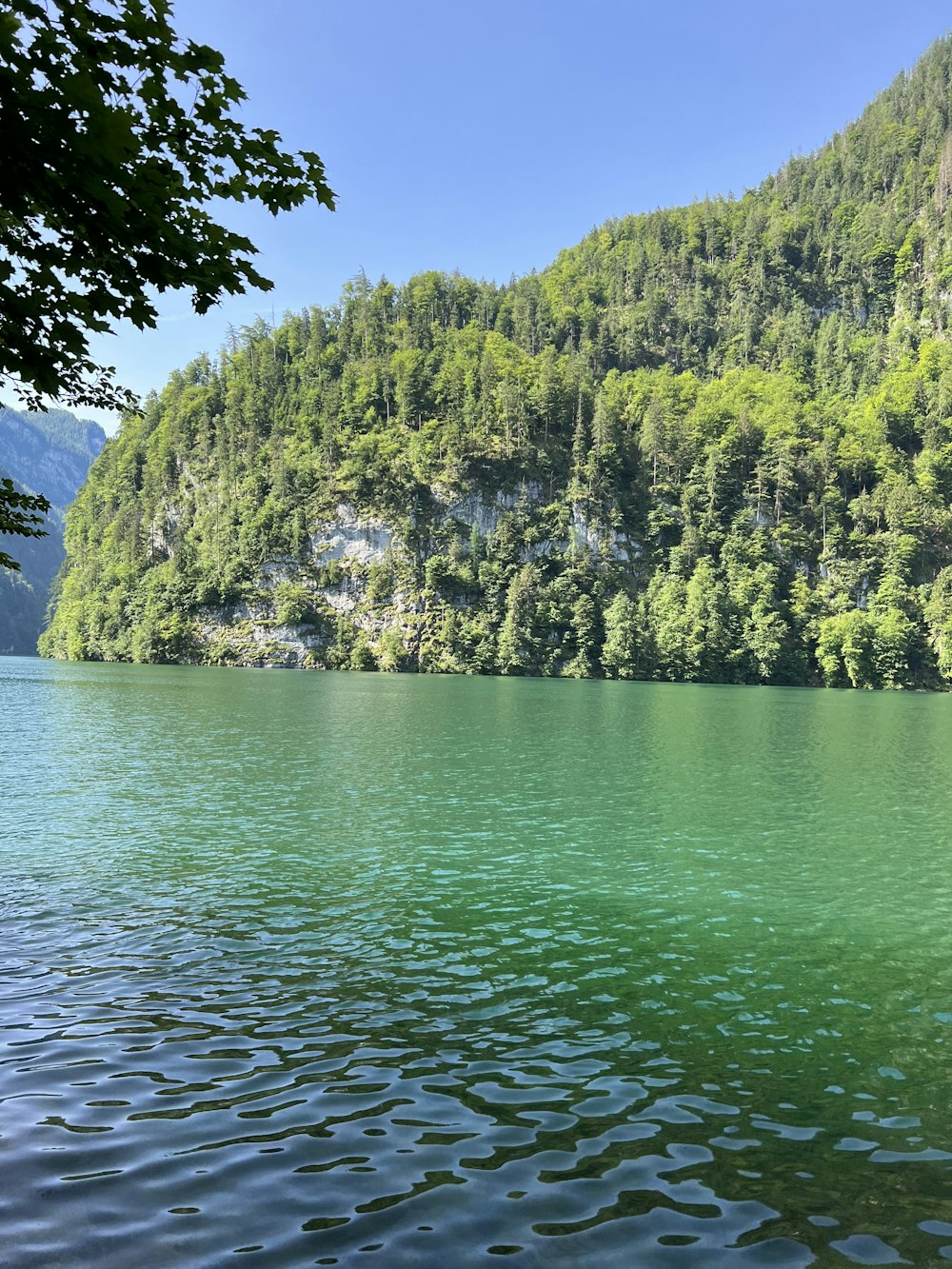 a body of water with trees on the side