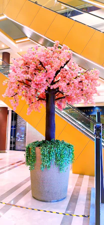 a tree with pink flowers
