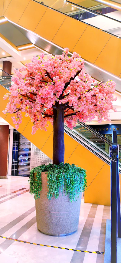 a tree with pink flowers