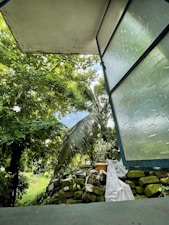 The image depicts a view from an open window, looking out onto a lush, green garden. There are various types of vegetation, including large leafy plants and a prominent palm tree. On the right side, part of a glass window with a frosted pattern is visible. Below the window, there are some moss-covered stones piled next to a white cloth and a small brown pot.