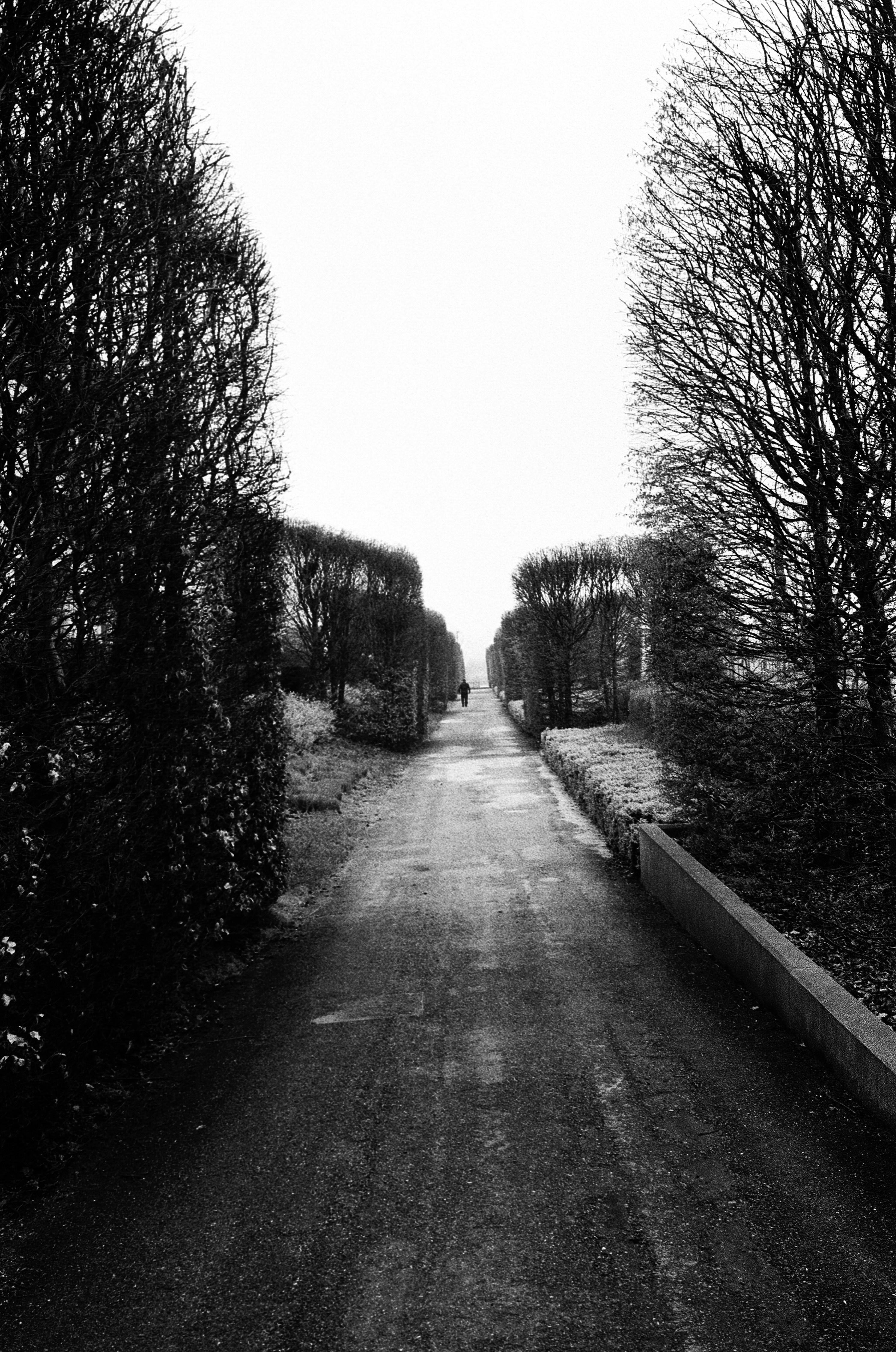 Photo by mettyunuabona