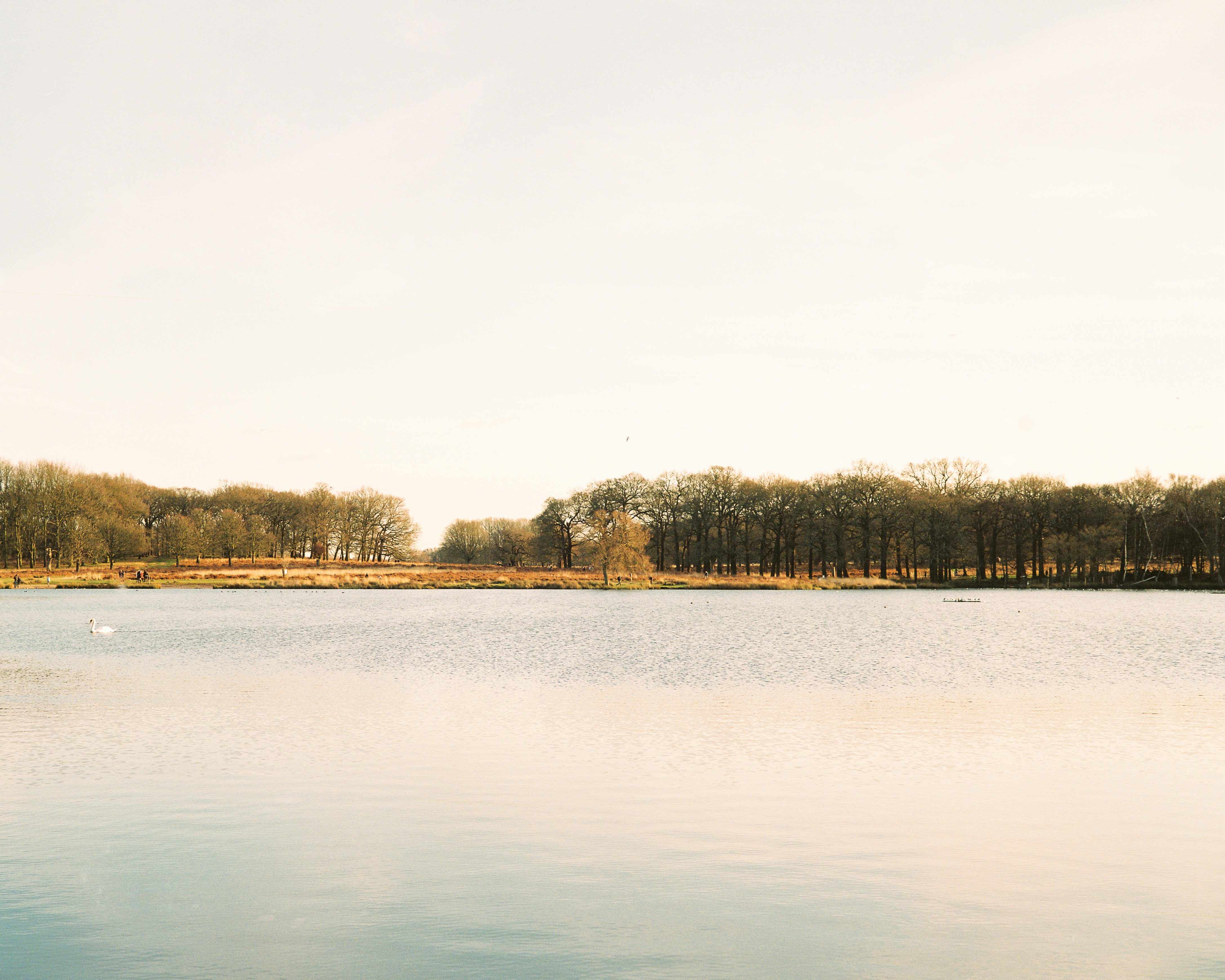 Photo by mettyunuabona