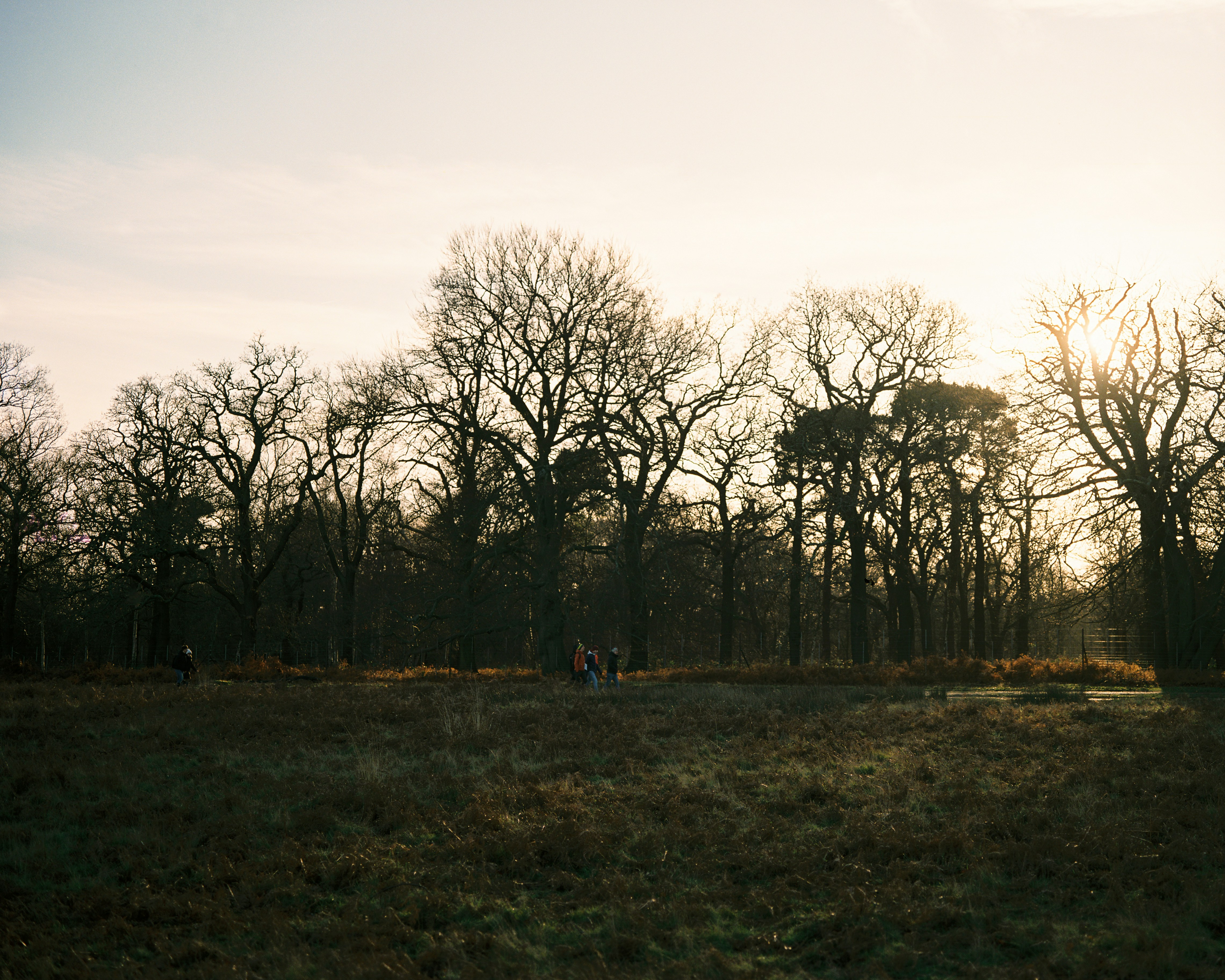 Photo by mettyunuabona