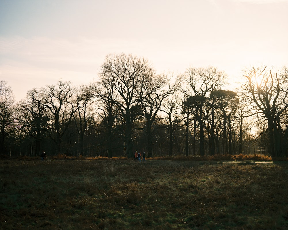 a group of people walking in a field with trees in the background