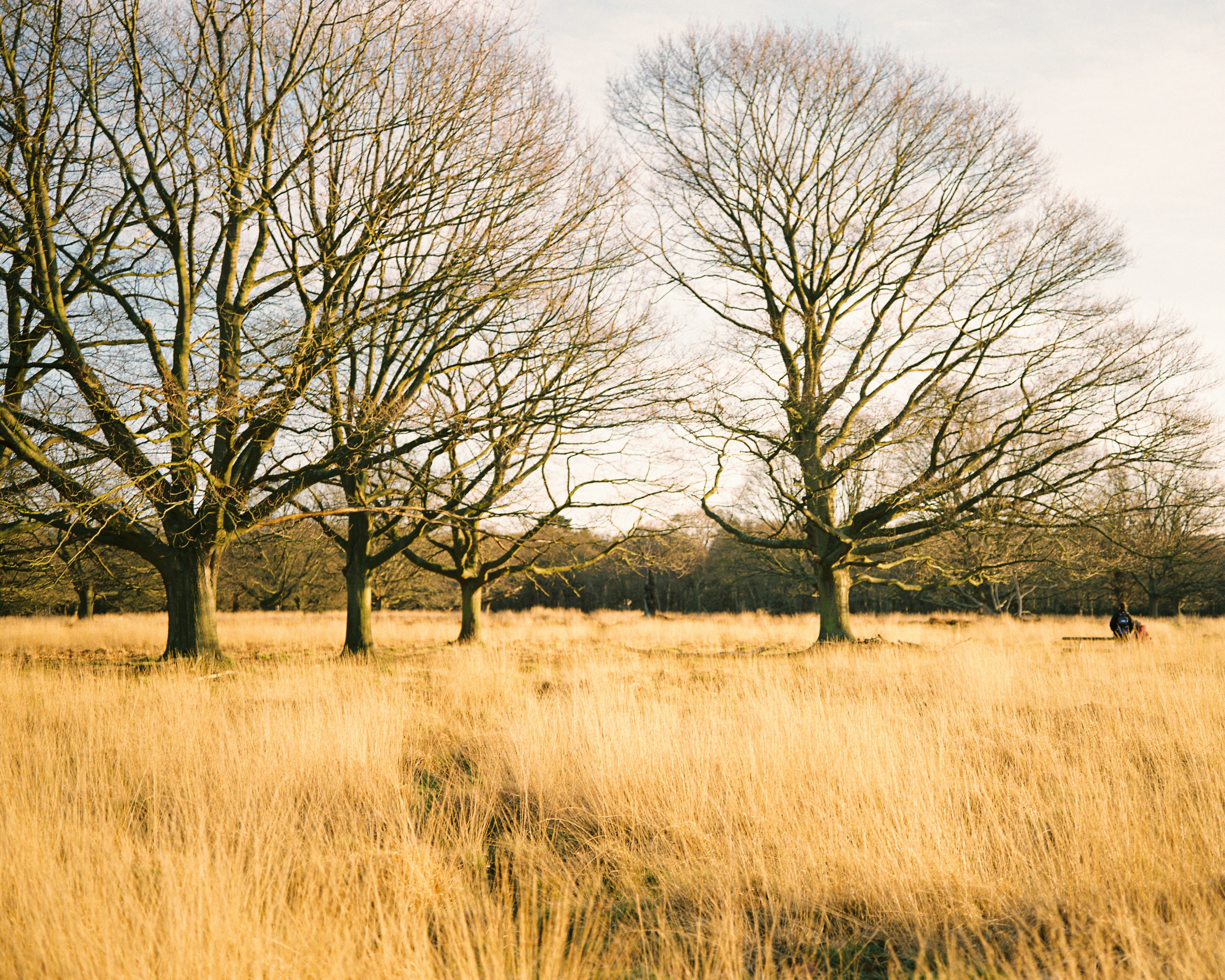 Photo by mettyunuabona