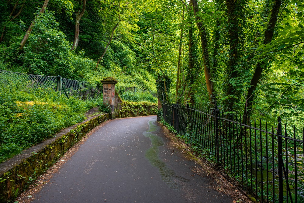 a road with trees on the side