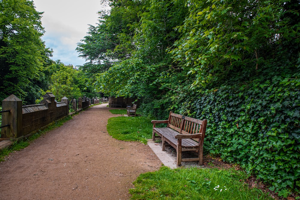 a bench sits unoccupied