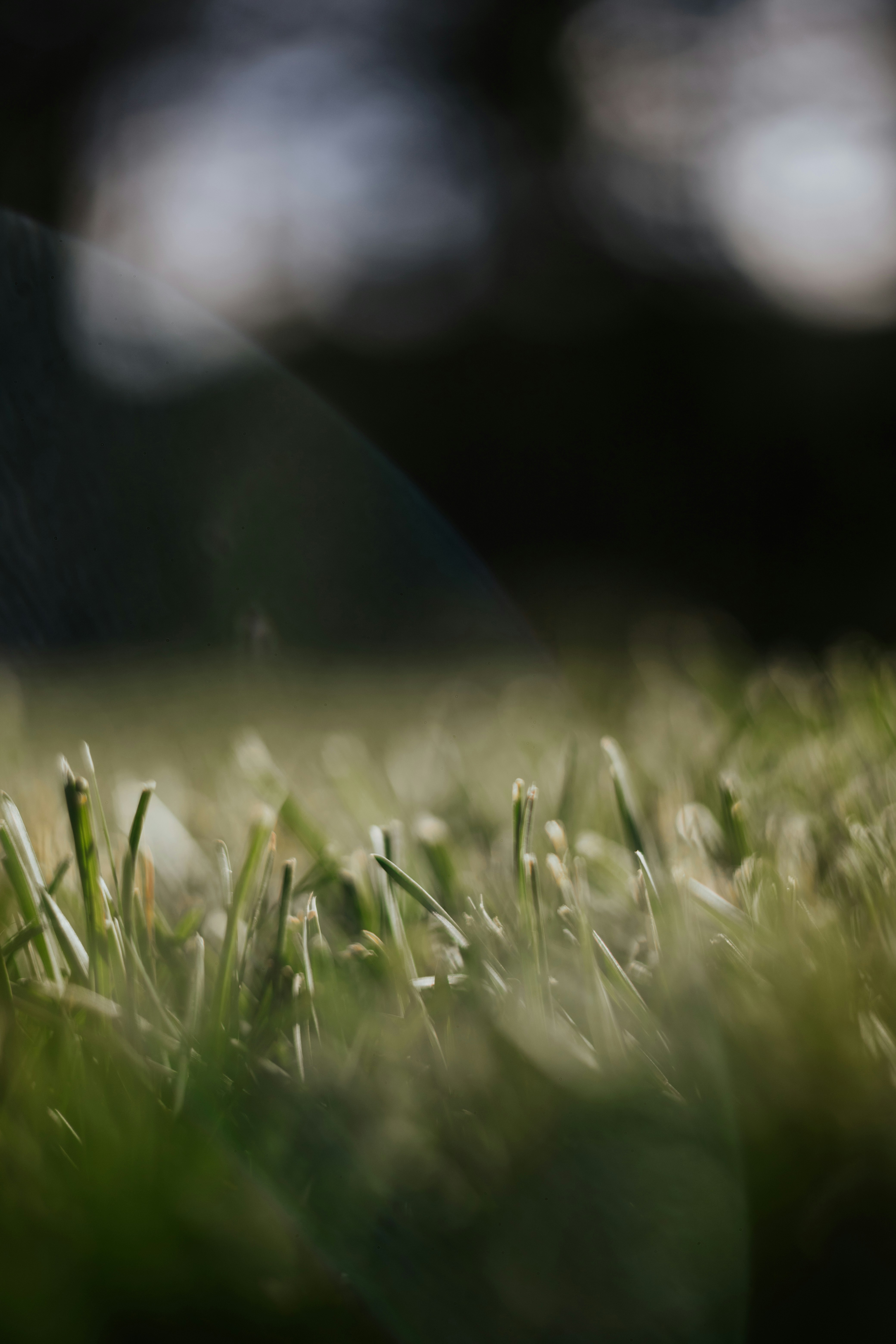 Photo by jeffersonsees