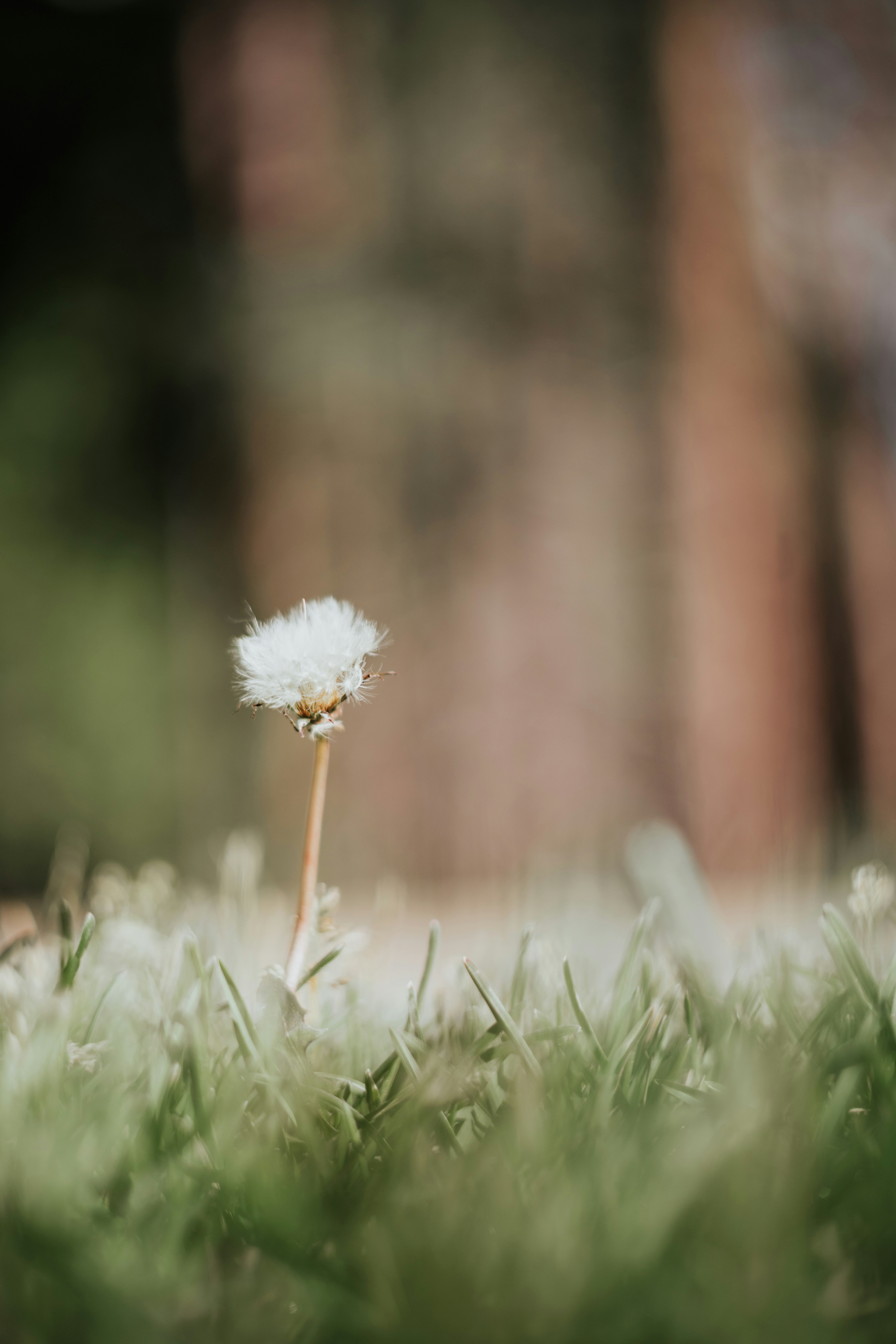 Photo by jeffersonsees