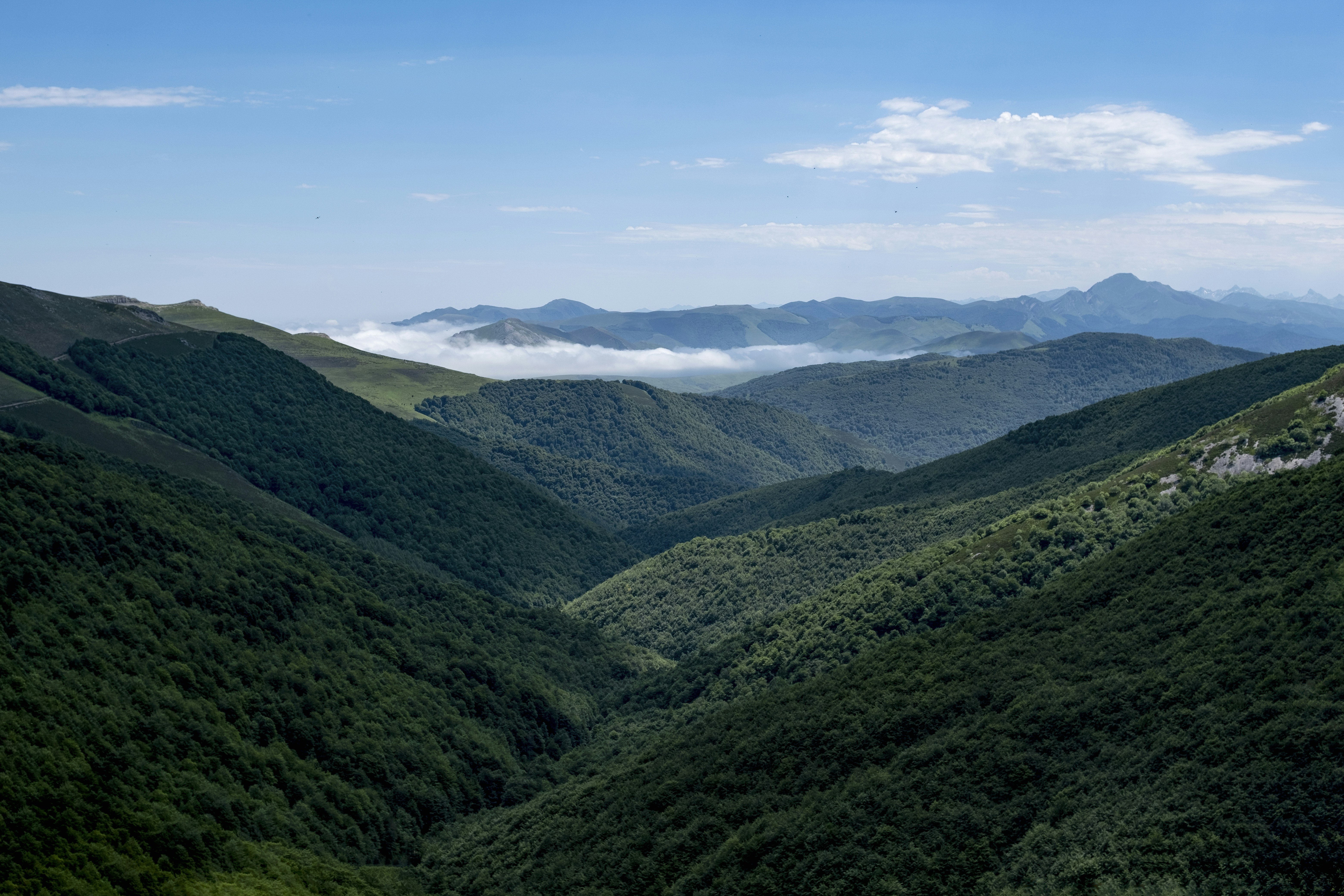 Photo by damiendufourphotographie