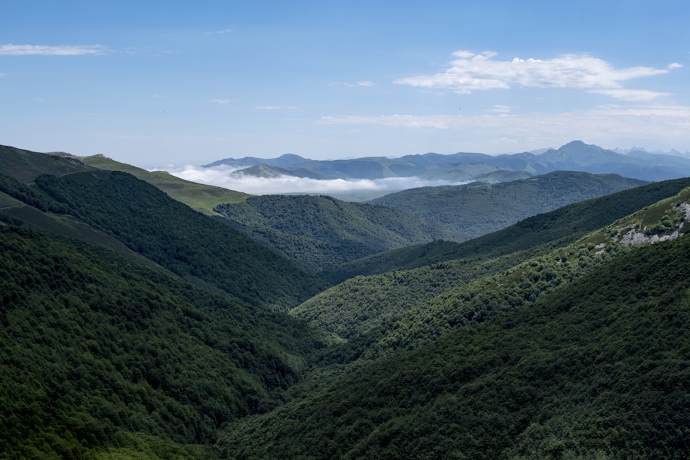 a valley with mountains in the background