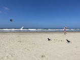A child in a swimsuit is seen running and playing on a sandy beach with the ocean waves crashing in the background. There are several birds visible on the sand, with one bird flying and two standing on the ground. The sky is clear and bright blue.
