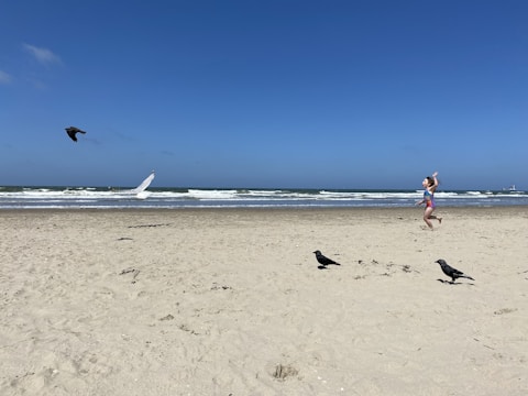 A child in a swimsuit is seen running and playing on a sandy beach with the ocean waves crashing in the background. There are several birds visible on the sand, with one bird flying and two standing on the ground. The sky is clear and bright blue.