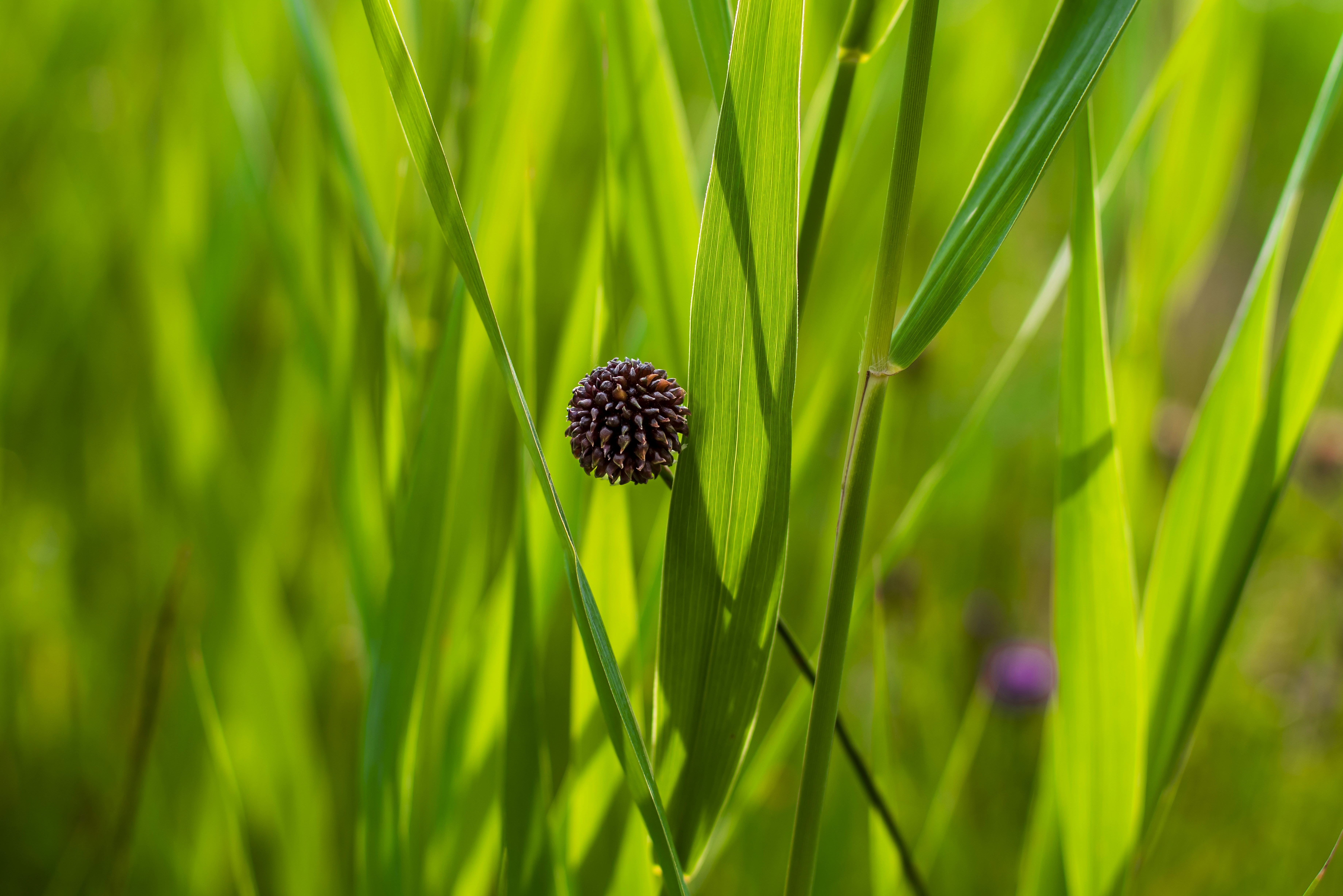 Photo by switch_dtp_fotografie