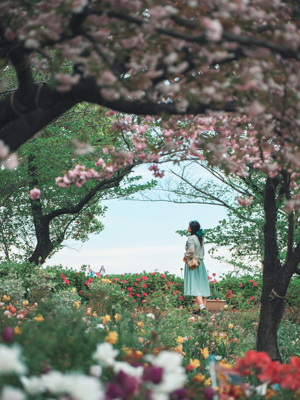 a person standing in a garden