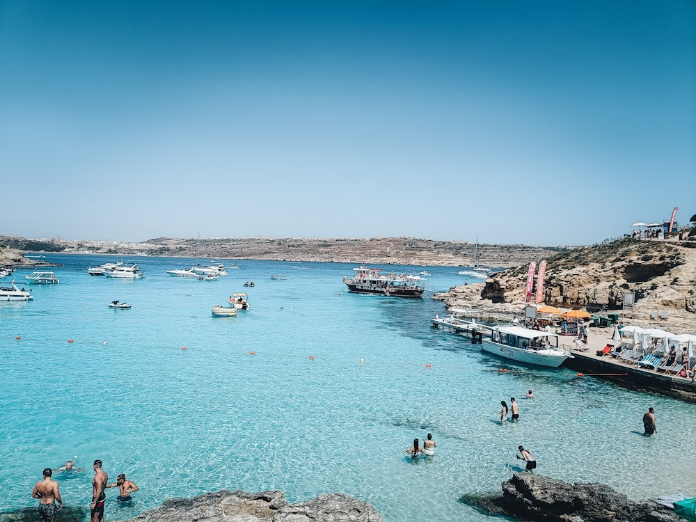 people swimming in the water