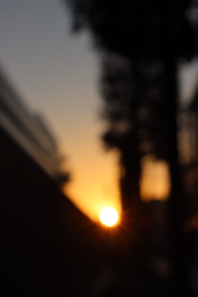 A softly lit image with 'pleasher' superimposed over a calming sunset background.