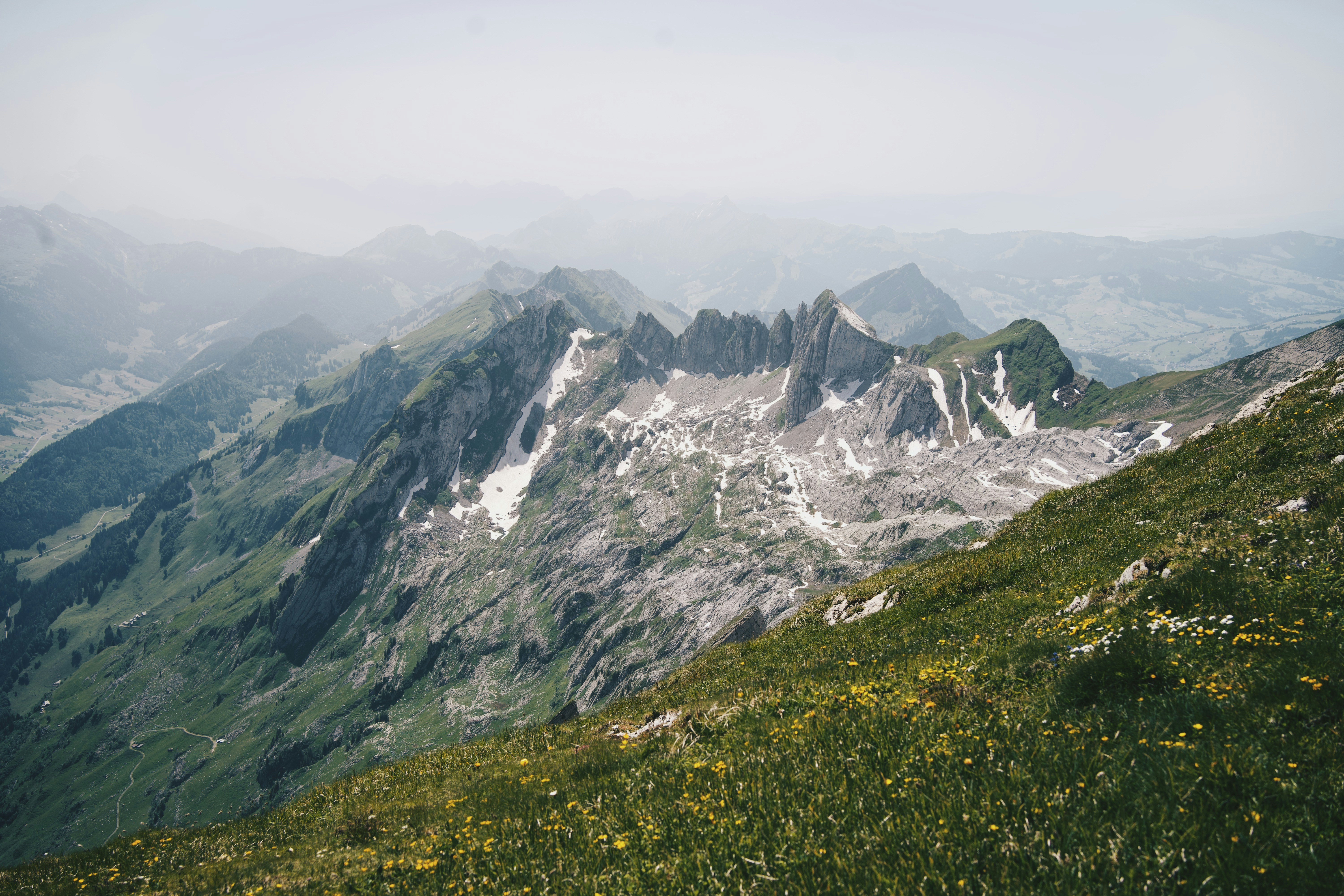 Ein grasbewachsener Berg mit Nebel