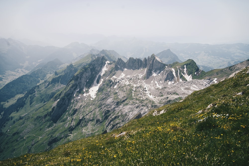 a grassy mountain with fog