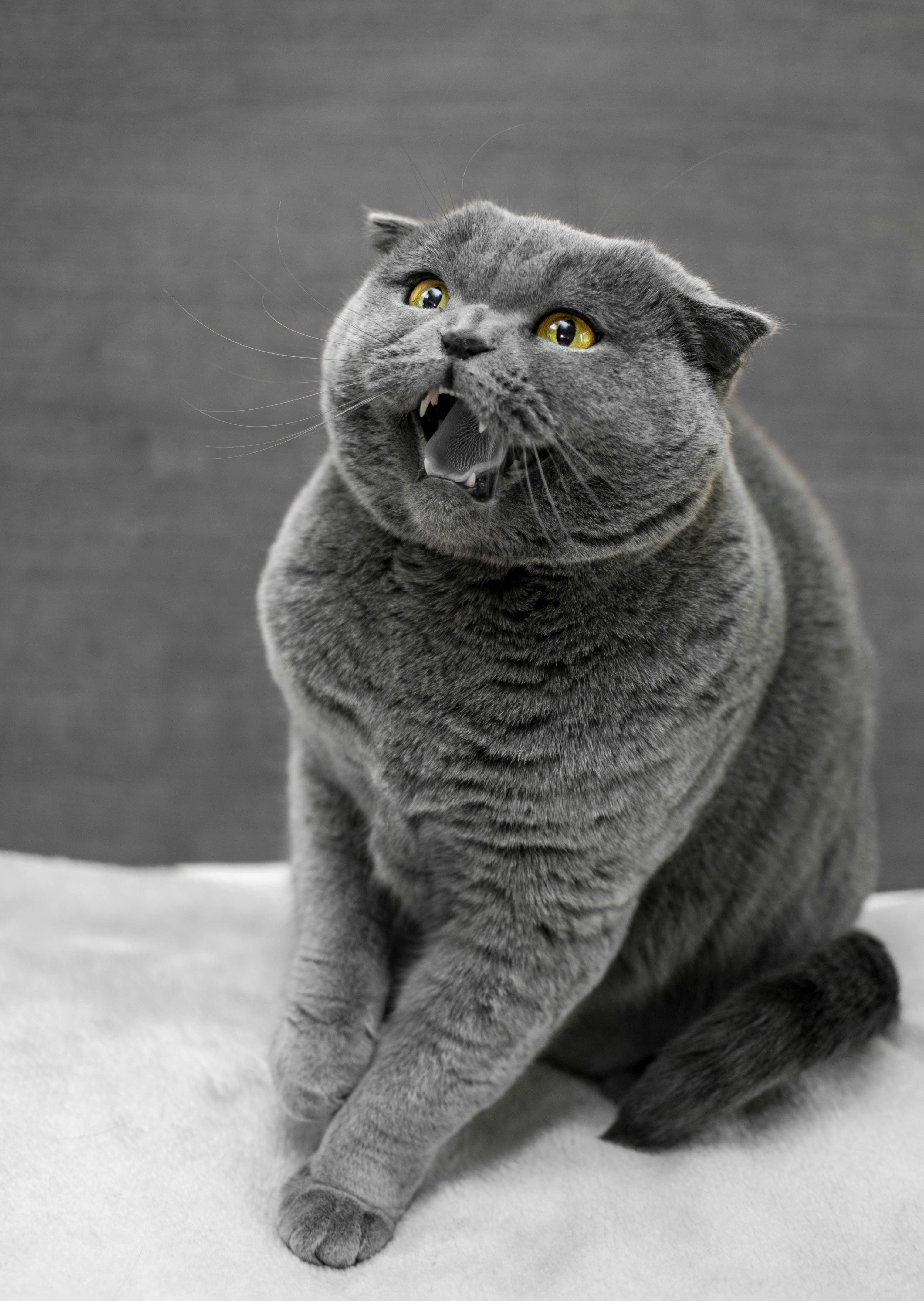 Photo by snowboardinets