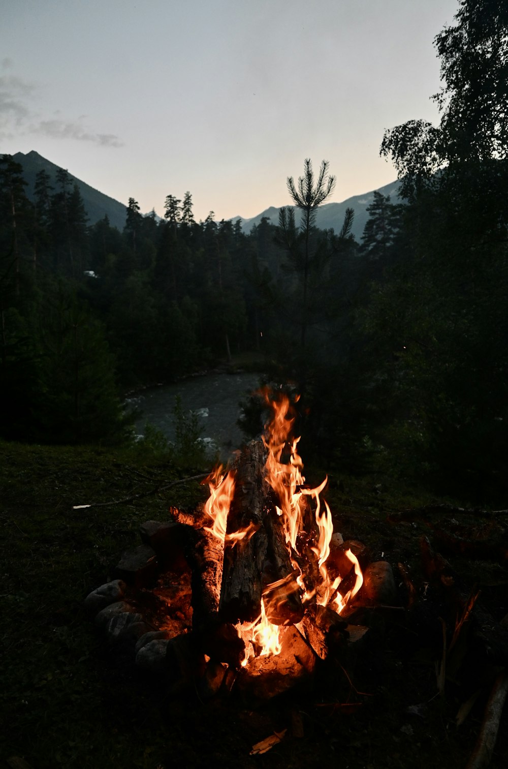 a campfire in the woods