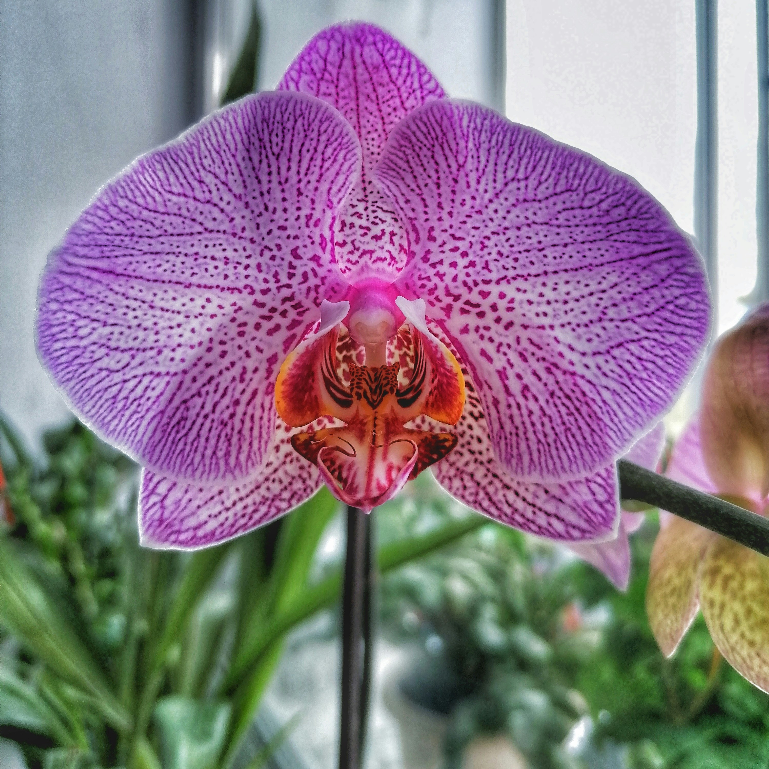 Photo by ksenia_pyleva