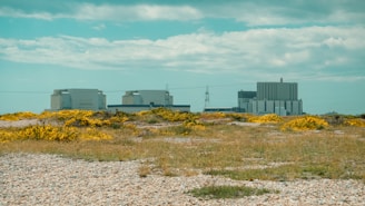 A landscape showing oil fields with green vegetation, symbolizing balance between industry and nature.