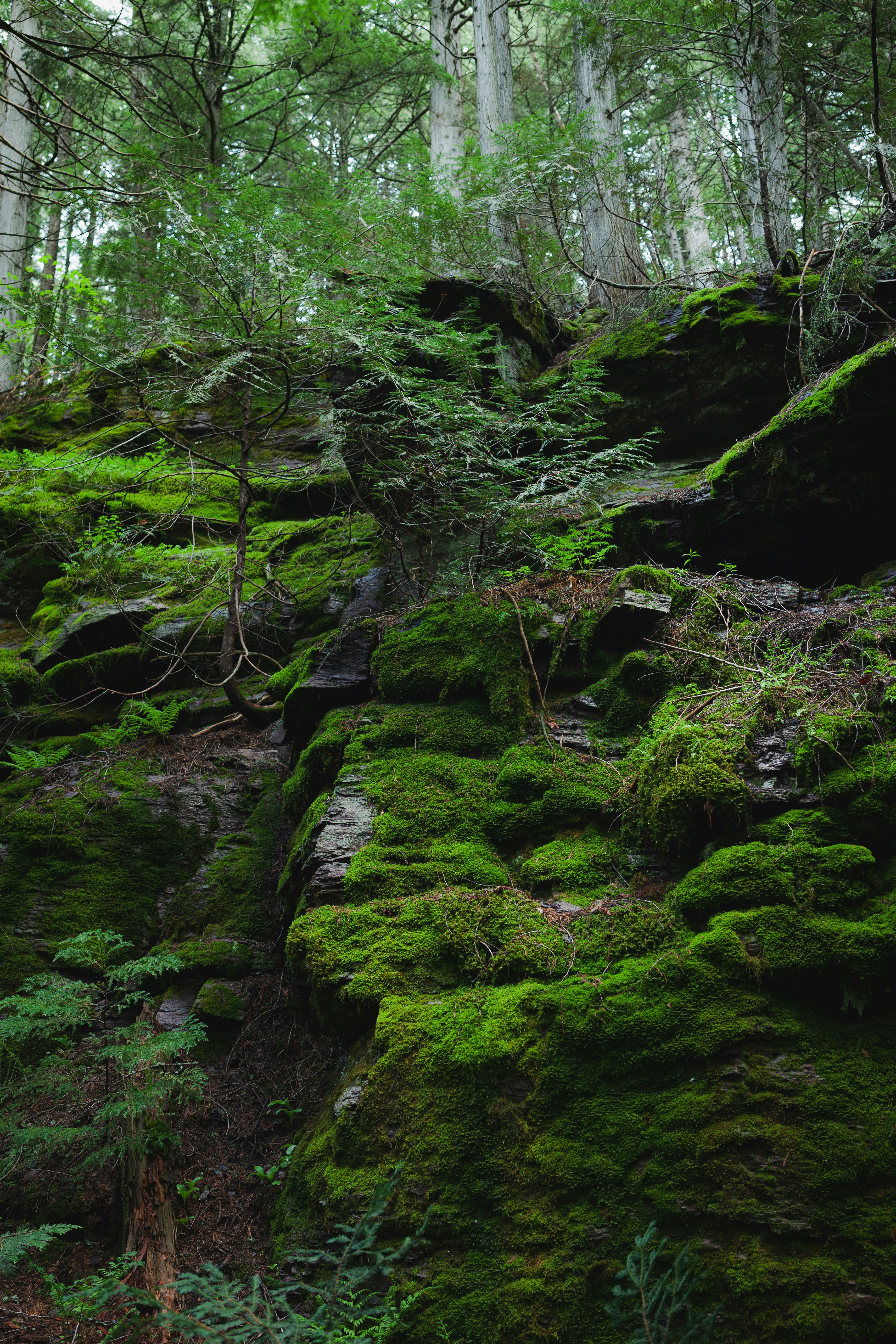 Photo by capturedbyjavi