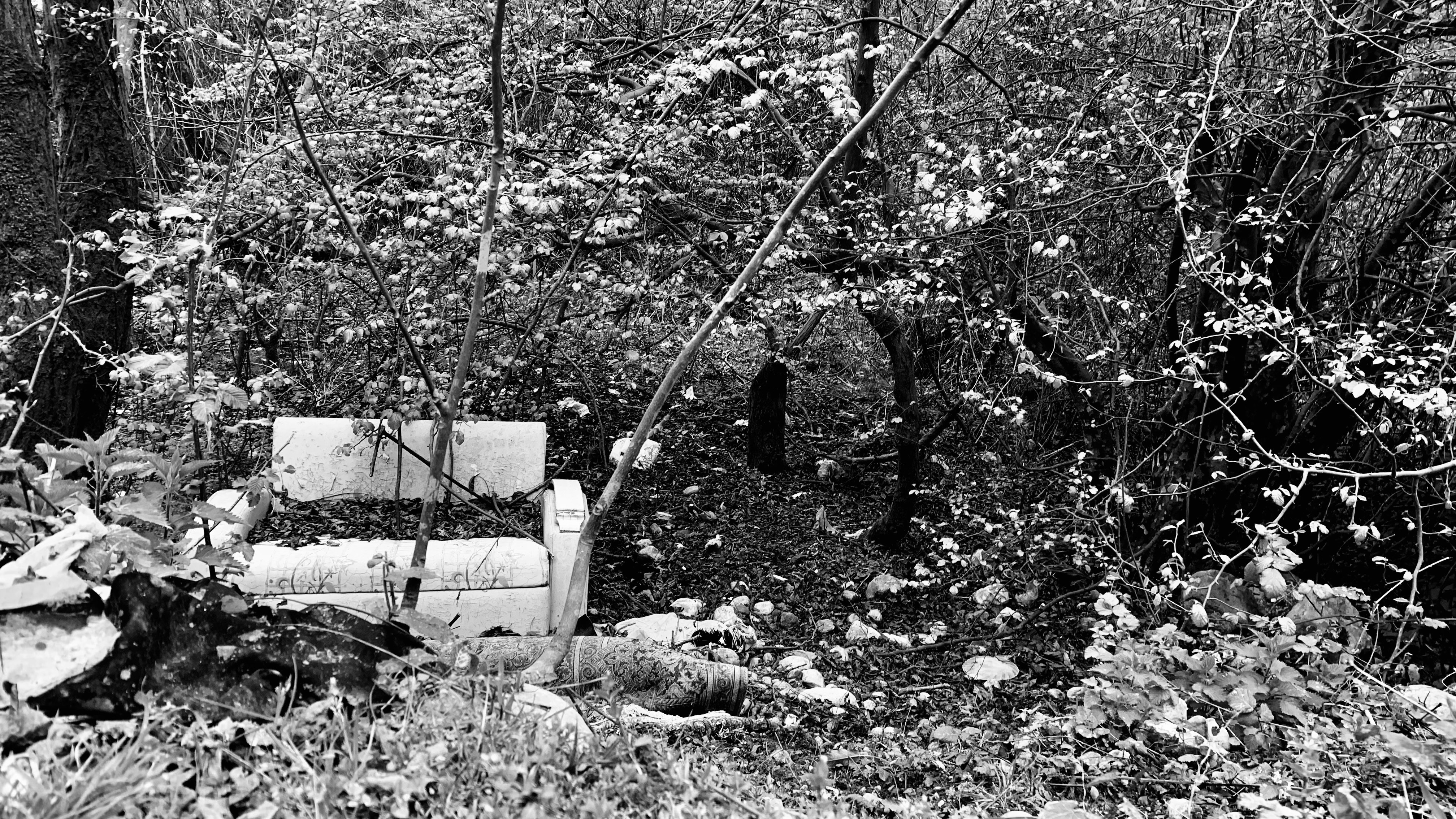 Photo by melikaparand