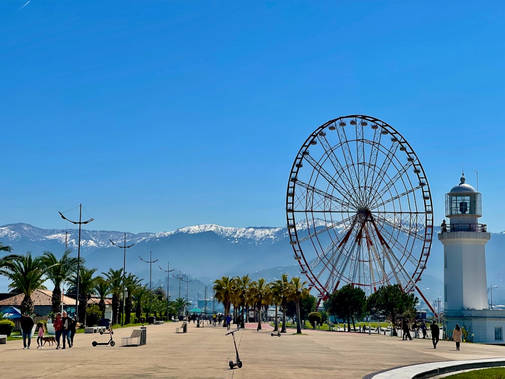 a ferris wheel in a park