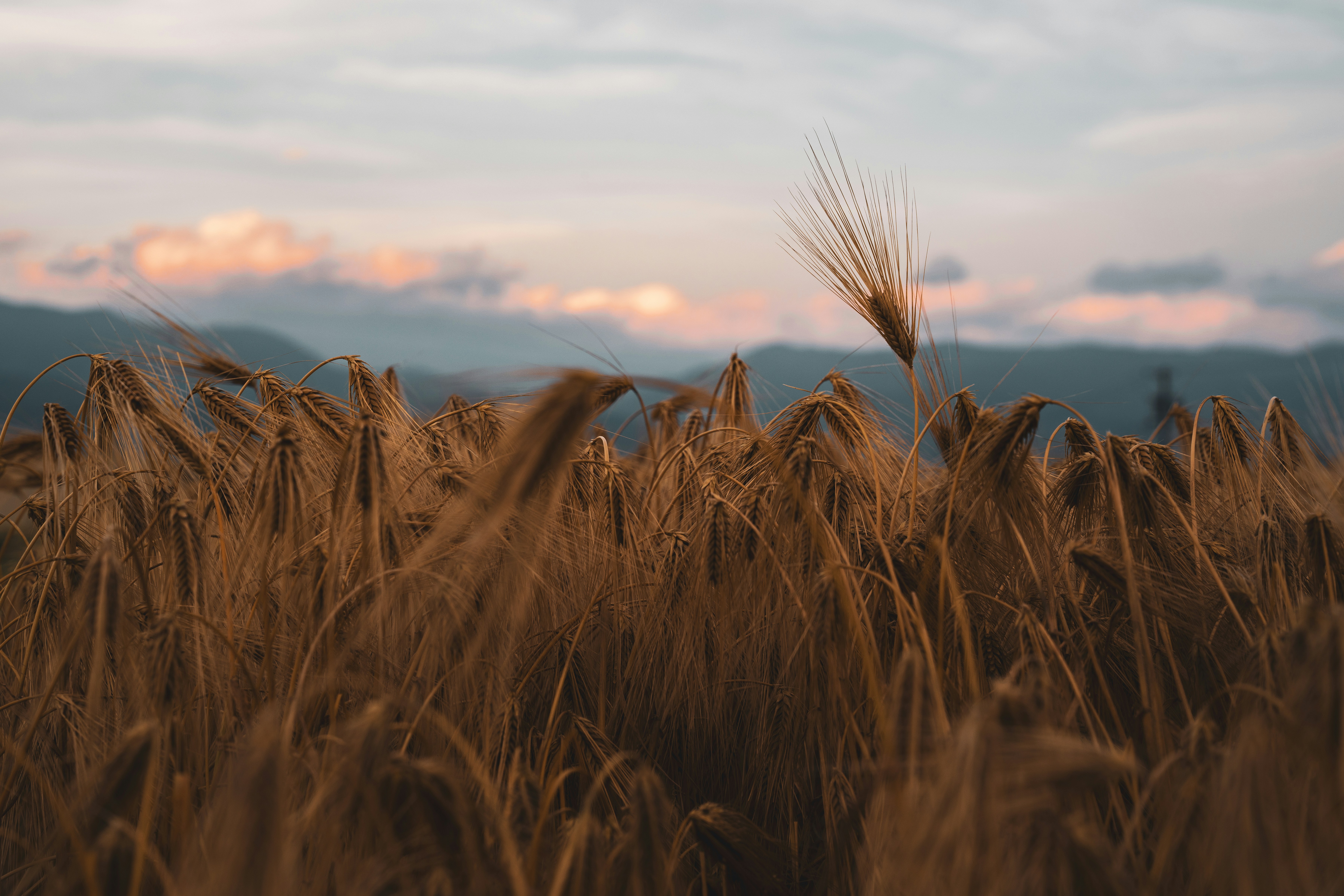 Heineken enfrenta desafíos por el cierre de Ormuz y el cambio climático