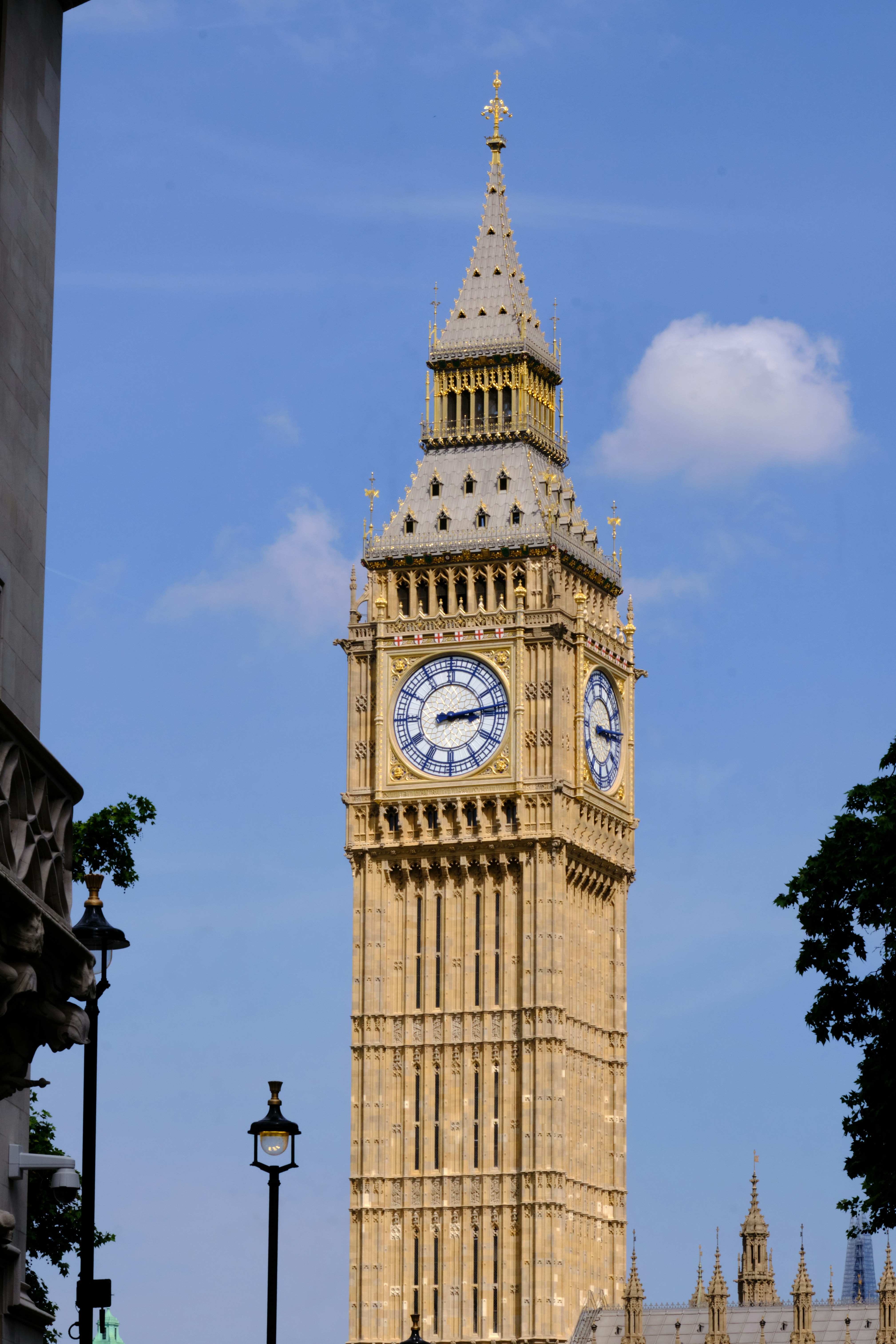 Photo by bullfishfighter