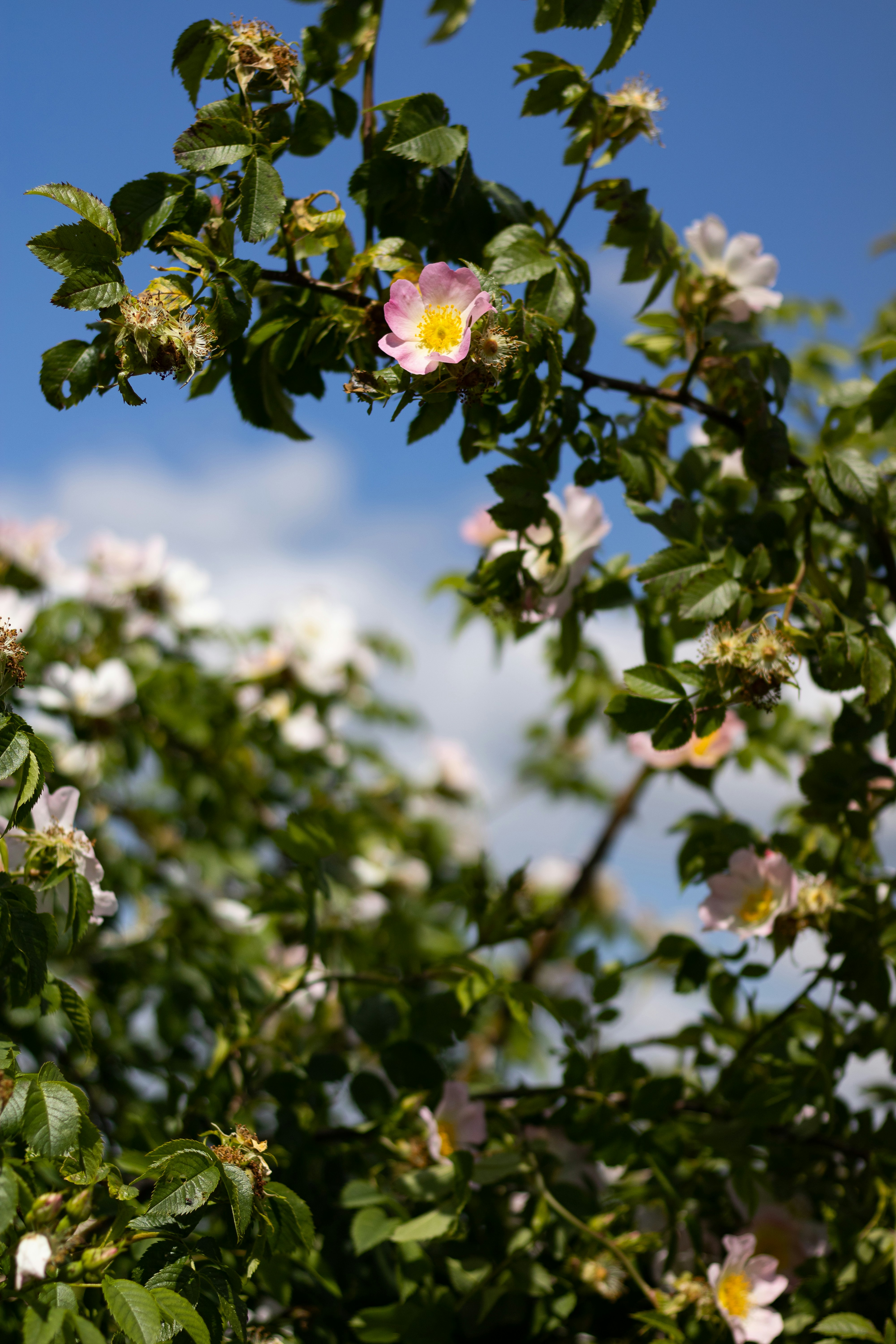 Photo by mirkofabian