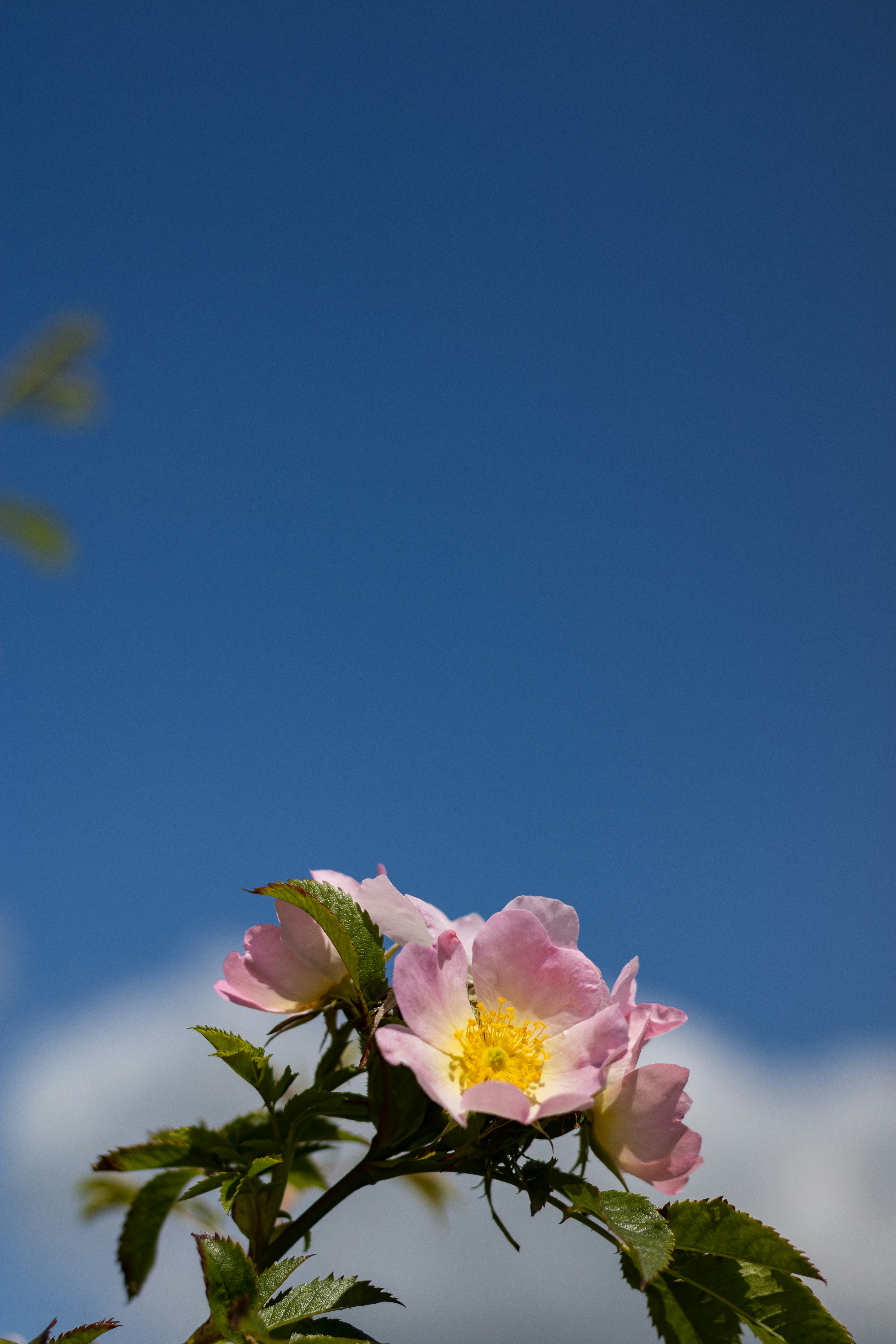 Photo by mirkofabian