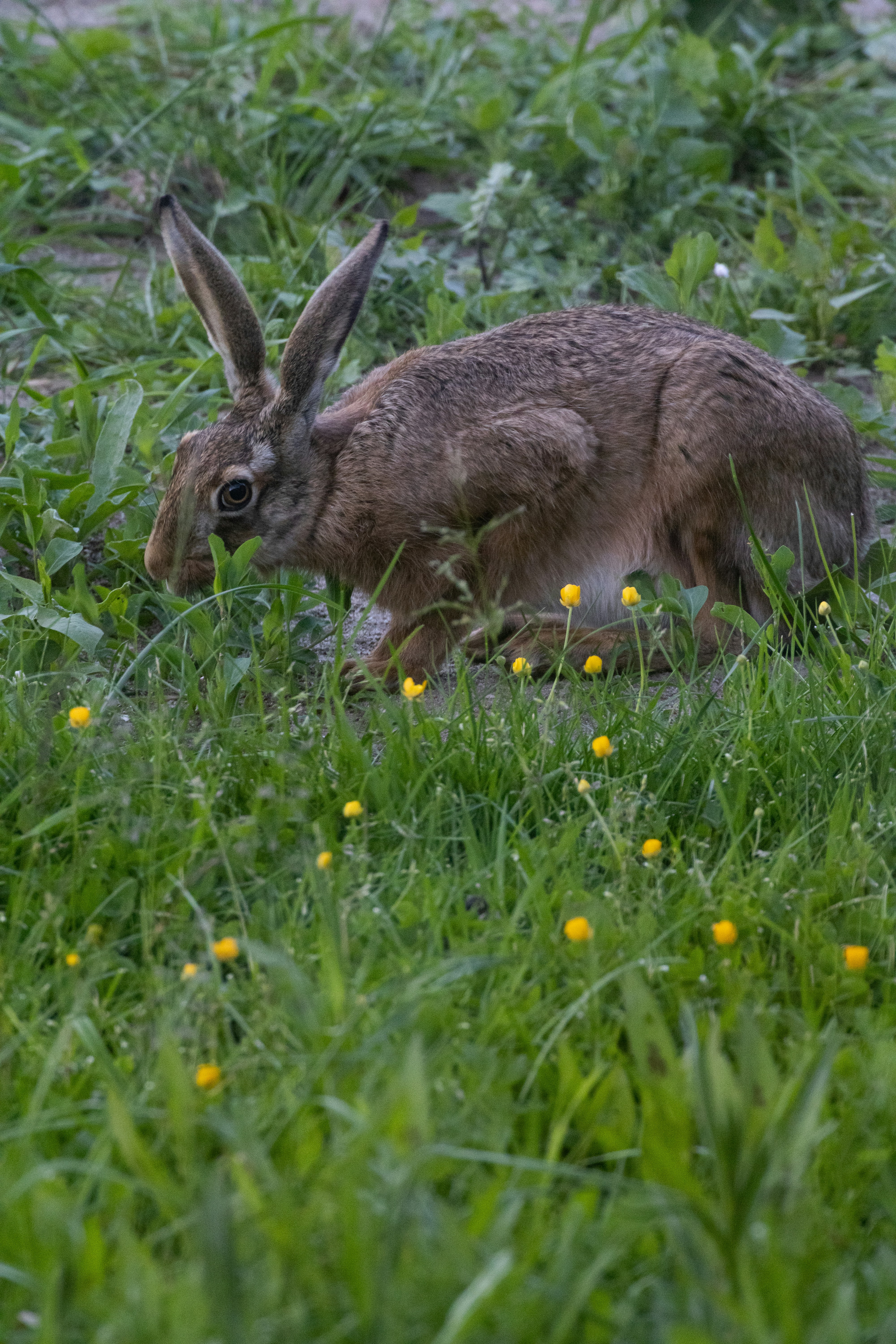 Photo by mirkofabian