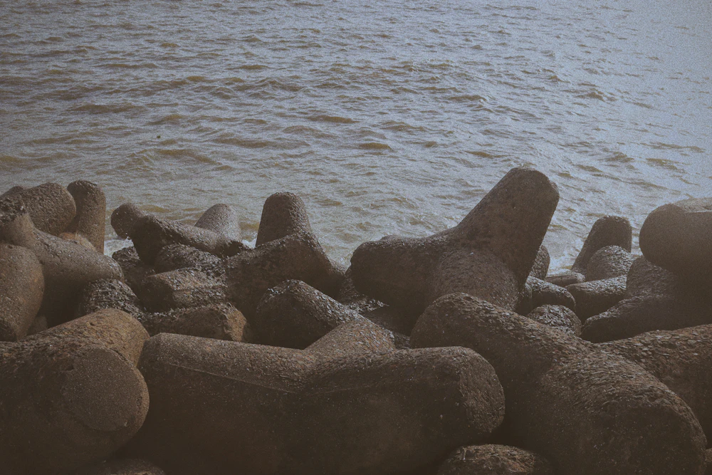 Shoreline riprap installation on Otter Tail County lake